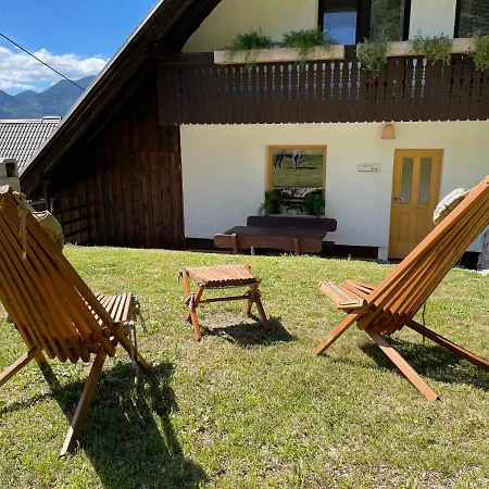 Apartma Korosec Daire *