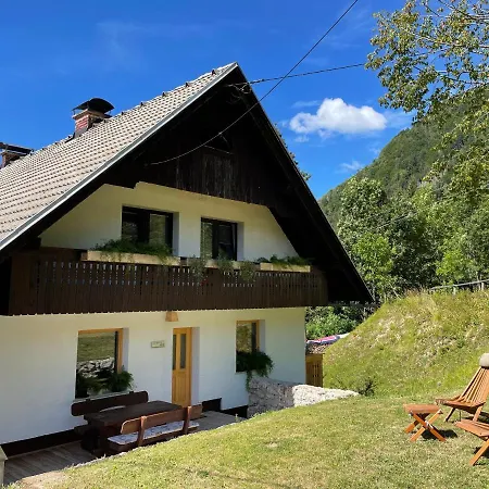 Apartma Korosec Apartment